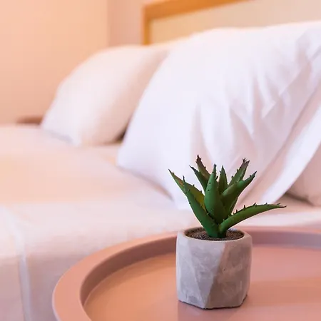 宾馆 Garden Budget